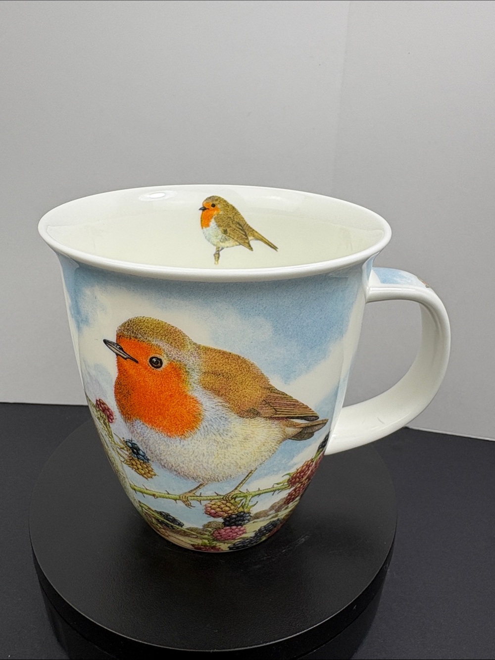 Dunoon Garden Birds Mug Nevis Robin Blue Tit Design By Richard Partis England
